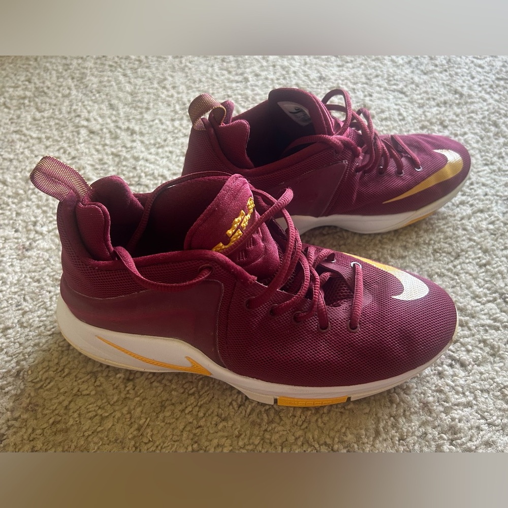 Nike LeBron Basketball Shoes